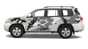 Toyota Landcruiser 200 Series