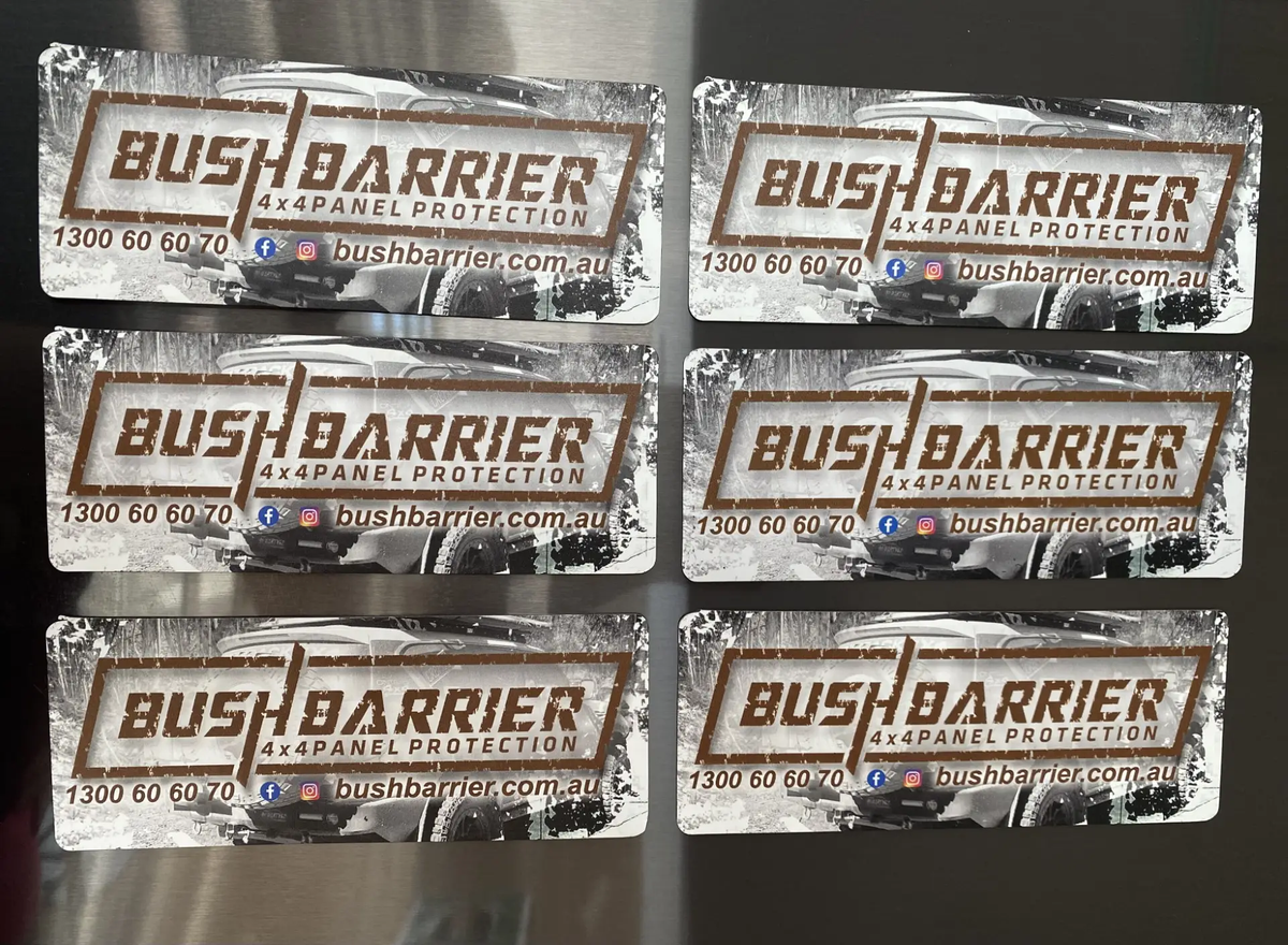 Fridge/Promo Magnets 100units